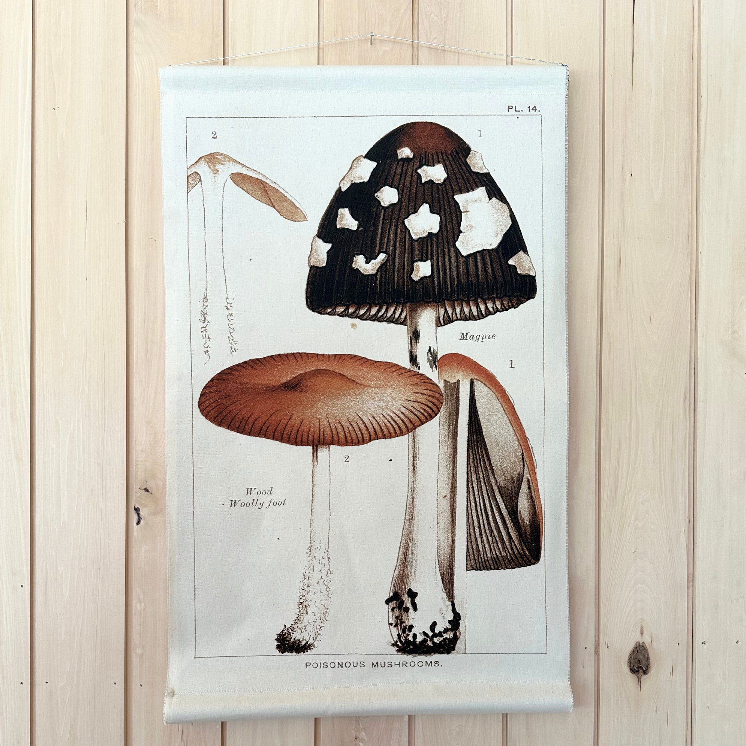 Canvas Wall Hanging - Magpie Mushroom